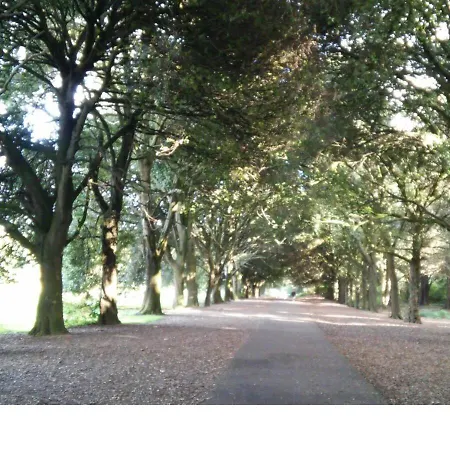 20 Minutes To The Center